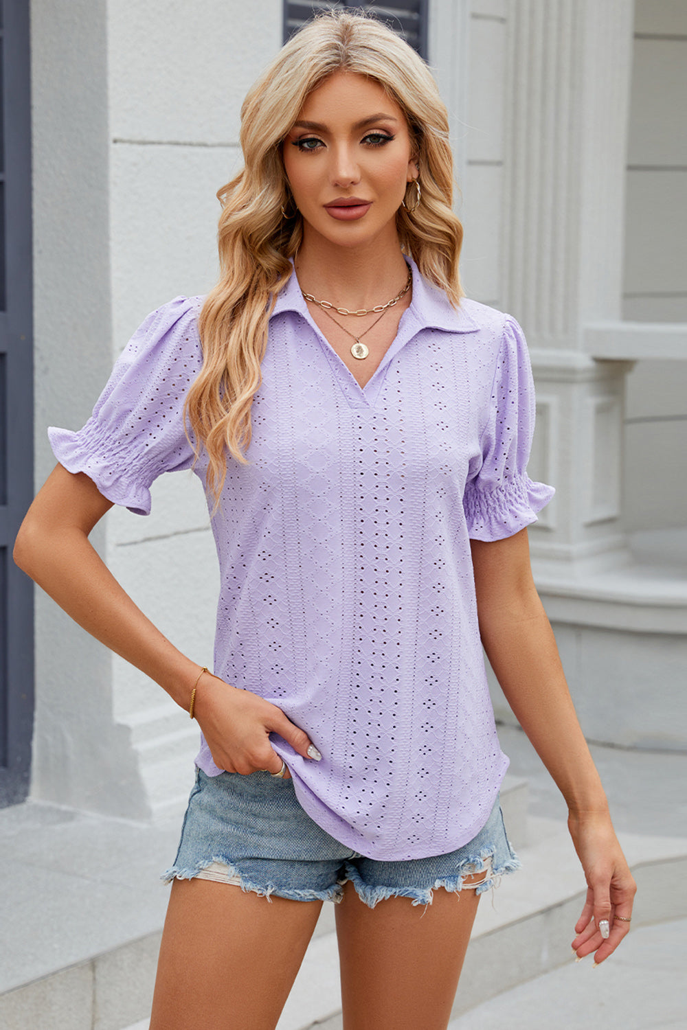 Eyelet Johnny Collar Short Sleeve Blouse